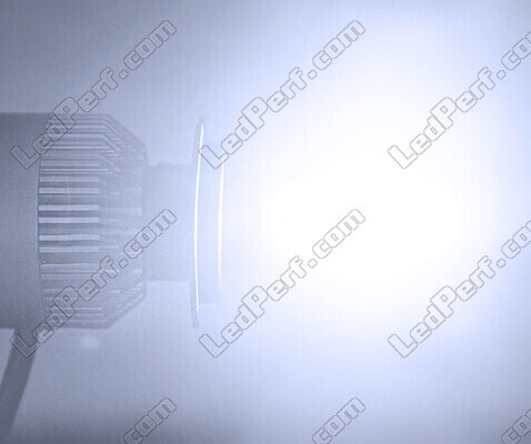Zestaw LED COB All in One Husqvarna TE 150 / 150i (2020 - 2023)