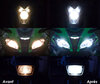 LED Światła mijania i drogowe LED Indian Motorcycle Scout springfield / deluxe 1442 (2001 - 2003)