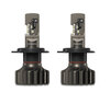 Zestaw żarówek LED Philips do Nissan Micra III - Ultinon Pro9100 +350%