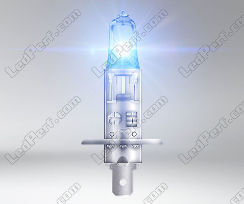 żarówka Halogen H1 Osram Cool Blue Intense NEXT GEN produkujący oświetlenie z efektem LED