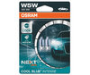 Para żarówek Osram W5W Cool blue Intense Next Gen LED Effect 4000K