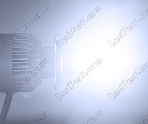 Żarówka LED H1 COB Motocykl zestaw LED Wysoka wydajność H1