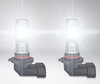 żarówki LED H10 Osram LEDriving Standard do światła przeciwmgielne włączonych