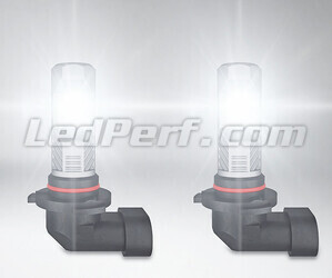 żarówki LED H10 Osram LEDriving Standard do światła przeciwmgielne włączonych