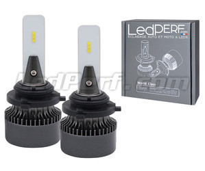 Para Żarówki H10 LED Eco Line o doskonałym stosunku jakości do ceny