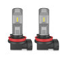 Para żarówki LED H16 Osram LEDriving Standard do światła przeciwmgielne - 67219CW