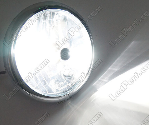 Żarówka H4 LED motocykl dopasowująca się - oświetlenie w kolorze Biały czysty