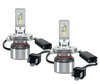 Zbliżenie na żarówki LED H4 Osram LEDriving® XTR 6000K - 64193DWXTR