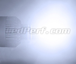 Barwa H7 LED dla pojazdów VW Audi Skoda Seat Porsche I Mercedes