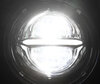 Optyka motocykl Full LED Chromowana do reflektora okrągły o średnicy 5.75 cala - Typ 5