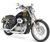 Motocycl Harley-Davidson Custom 883 (1999 - 2009)