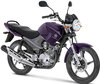 Motocycl Yamaha YBR 125 (2010 - 2013) (2010 - 2013)