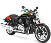 Motocycl Harley-Davidson Street Rod 1130 (2005 - 2007)