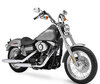 Motocycl Harley-Davidson Street Bob 1450 (2005 - 2006)