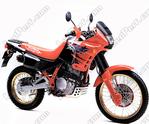 Motocycl Honda NX 650 Dominator (1993 - 2002)