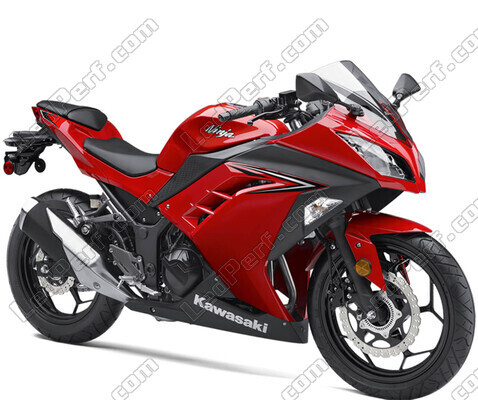 Motocycl Kawasaki Ninja 300 (2013 - 2018)