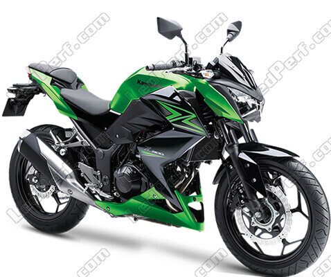 Motocycl Kawasaki Z300 (2015 - 2018)