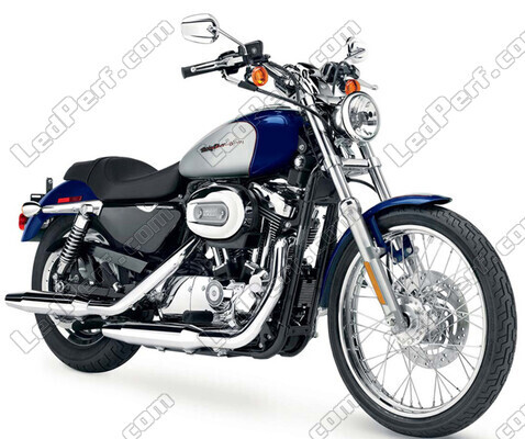Motocycl Harley-Davidson Custom 1200 (2000 - 2010) (2000 - 2010)