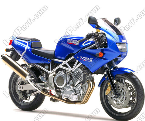 Motocycl Yamaha TRX 850 (1996 - 2000)