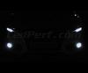 Pakiet żarówek świateł przeciwmgielnych Xenon Effect do Audi Q3