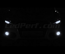 Pakiet żarówek świateł przeciwmgielnych Xenon Effect do Audi Q3