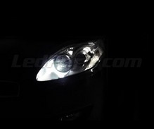 Pakiet świateł postojowych LED (xenon biały) do Fiat Bravo 2