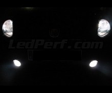 Pakiet żarówek reflektorów Xenon Effect do Fiat Grande Punto / Punto Evo