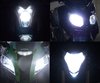 Pakiet żarówek reflektorów Xenon Effect do Harley-Davidson V-Rod Muscle 1250