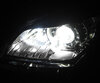 Pakiet świateł postojowych LED (xenon biały) do Renault Megane 3