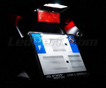 Pakiet oświetlenia LED tablicy rejestracyjnej (xenon biały) do Honda XR 250