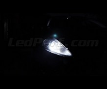 Pakiet świateł postojowych LED (xenon biały) do Ford Fiesta MK7