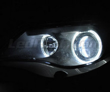 Pakiet angel eyes LED do BMW serii 6 (E63 E64) Faza 1 - z oryginalnym Xenon -MTEC V3