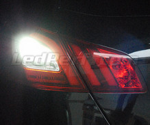 Pakiet LED (biały 6000K) świateł cofania do Peugeot 308 II