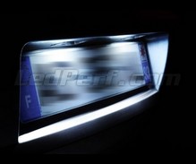 Pakiet oświetlenia LED tablicy rejestracyjnej (xenon biały) do Renault Avantime