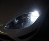 Pakiet świateł do jazdy dziennej LED (xenon biały) do Seat Leon 2