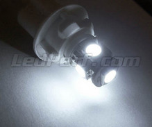 Pakiet świateł postojowych LED (xenon biały) do Nissan Cube