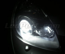 Pakiet świateł postojowych LED (xenon biały) do Renault Clio 2