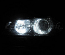 Pakiet świateł postojowych LED (xenon biały) do Alfa Romeo 156