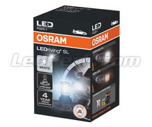 Żarówka LED PS19W Osram LEDriving SL - Cool White 6000K - 5201DWP