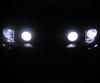 Pakiet żarówek reflektorów Xenon Effect do Ford Mustang