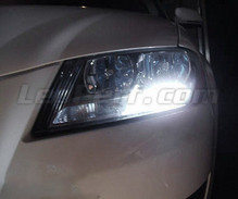 Pakiet świateł do jazdy dziennej LED (xenon biały) do Audi A3 8P Facelift (restylizowany)