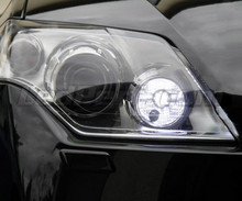 Pakiet świateł do jazdy dziennej LED (xenon biały) do Renault Laguna 3