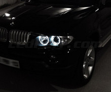 Pakiet angel eyes LED do BMW X5 (E53) - Standard