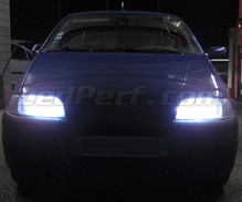 Pakiet żarówek reflektorów Xenon Effect do Fiat Punto MK1