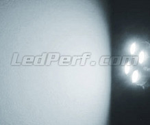 Pakiet świateł postojowych LED (xenon biały) do Jaguar XJ8