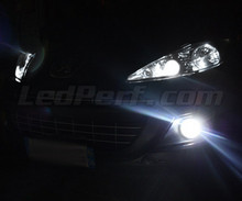 Pakiet żarówek reflektorów Xenon Effect do Peugeot 207