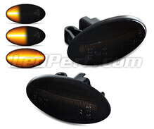 Dynamiczne boczne kierunkowskazy LED dla Peugeot 206+