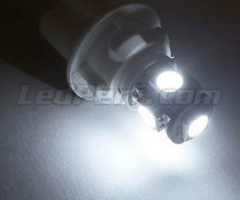 Pakiet świateł postojowych LED (xenon biały) do Kia Sorento 1