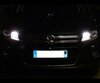 Pakiet żarówek świateł do jazdy dziennej i drogowych H15 Xenon Effect do Volkswagen Tiguan