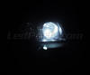 Pakiet świateł postojowych LED (xenon biały) do Volkswagen Bora